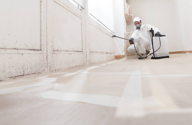 24/7 Emergency Crawl Space Mold Remediation experts in Odessa, TX